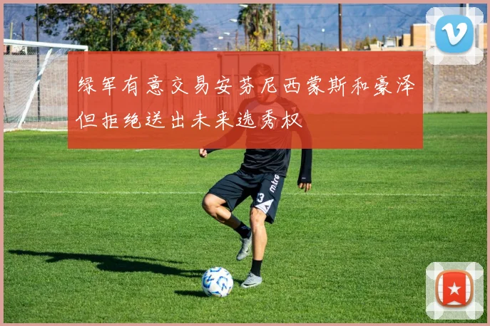 绿军有意交易安芬尼西蒙斯和豪泽但拒绝送出未来选秀权