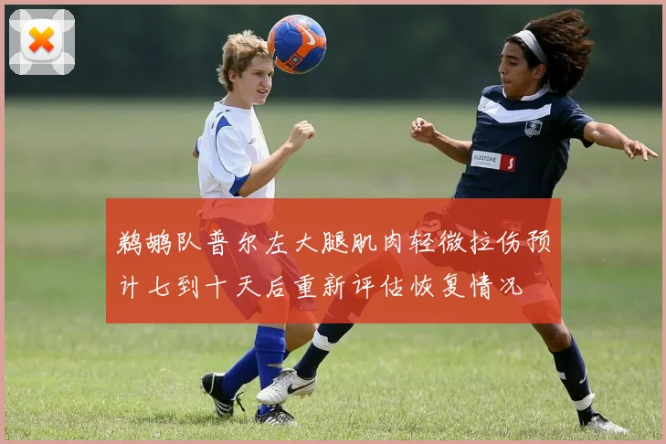 鹈鹕队普尔左大腿肌肉轻微拉伤预计七到十天后重新评估恢复情况