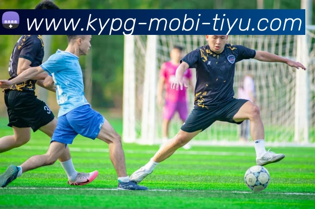 开元棋牌平台生态图